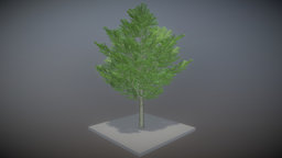 Platane 21 Meter tree, baum, game-ready, blender-3d, vis-all-3d, sommer, platane, 21-meter, platane-21-meter, leaf-tree, low-poly, lowpoly
