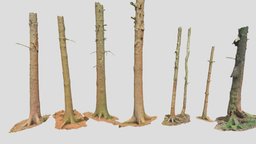 Fir Conifer Tree Trunk Dead Scan tree, landscape, pine, dead, cgi, fallen, trunk, scanned, models, nature, dry, spruce, fir, roots, conifer, bork, photoscan, 3d, pbr, lowpoly