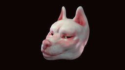 Paledoggogogogo dog, portrait, anthro, canine, furry, albino