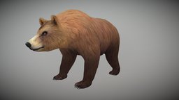 Bear Animated bear, beast, teddy, panda, mammal, fur, grizzly, furry