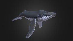 Humpback Whale cute, mammal, stylised, whale, nature, sealife, humpback-whale, humpbackwhale, oceanlife, endangered-species, whale-animal, noai