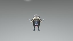 Buffalo High Poly buffalo