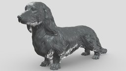 Long Haired Dachshund V1 3D print model stl, dog, pet, animals, figurine, 3dprinting, doge, 3dprint, dogstl, stldog