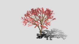 Low Poly Cartoon Tree tree, topology, cartoony, stylish, low-poly-blender, low-poly, lowpoly, gameart, leaves, gameready