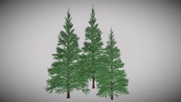 Conifers tree, plant, pine, vegetation, nature, unwrap, conifer, low-poly, pbr