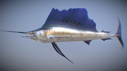 Pacific sailfish fish, pacific, game-ready, sailfish, pbr, gameasset, animal, sea