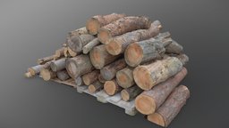 Stacked pine firewood trees, tree, plant, logs, log, pine, 3d-scan, timber, cut, trunk, bark, 3d-scanning, nature, fall, lumber, spruce, harvesting, chop, chopped, megascan, photoscan, photogrammetry, wood, ue5, hodyne, branh