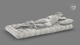 Hermaphrodite endormi noai