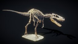 Juvenile Tyrannosaurus Rex trex, rex, tyrannosaurus, trexdinosaur, juvenile, dinosaur, highpoly, noai