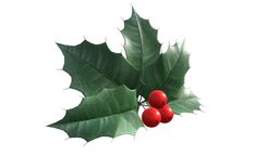 leaves and fruit green, plant, fruit, red, xmas, christmas, leaf, decor, x-mas, decoration