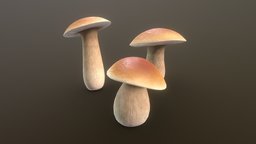 Mushrooms (boletus chippewaensis) forest, mushroom, prop, mushrooms, realistic, nature, substancepainter, substance, handpainted, blender, blender3d, fantasy