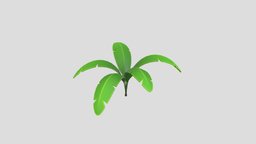 Low Poly Banana Plant 001 tree, green, plant, forest, pot, tropical, palm, shrub, banana, leaf, foliage, nature, bush, jungle, cartoon