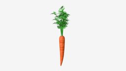 Carrot 03 plant, food, red, garden, carota, carrot, fresh, nature, vegetable, vegetables, salad, root, juicy, daucus