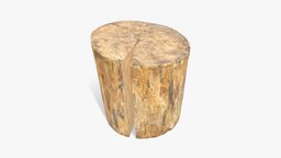 Log Round Cracked tree, sculpt, plant, log, photorealistic, big, table, split, cracked, cut, round, realistic, weathered, firewood, chop, chair, scan, wood