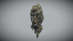 5 Gram Cannabis Bud cannabis, weed, bud, marijuana, canabis