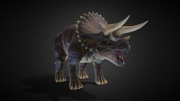 Triceratops horns, triceratops, tri, dinosaurs, horned, jurassic, cretaceous, dinosaurus, jurassicpark, jurassicworld, cuadruped, creature, dinosaur, dino, triceratops-3d