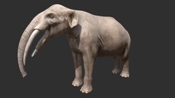Gomphotherium steinheimense elephant, extinct, dinosaur, gomphotherium