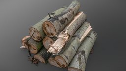Cut ashree logs stack saw, terrain, oak, 3d-scan, medieval, cut, vegetation, 3d-scanning, nature, deciduous, forestry, medievalfantasyassets, photoscan, photogrammetry, asset, game, gameasset, download, ue5