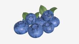 Blueberries with leaf fruit, berry, huckleberry, blueberry, blaeberry, whortleberry, hurtleberry