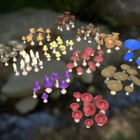 Mushroom Cluster Update2 mushroom, fungus, mushrooms, fungi