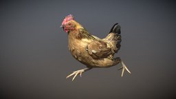 Animalia chicken, quadruped, gim, animalia, animal, animated