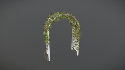 Ivy arch plant, ivy, garden, park, archaeology, wood, decoration