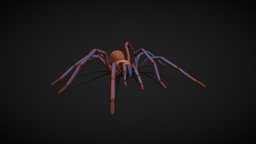 Spider Tarantula walk cycle game ready insect, b3d, spider, walking, tarantula, blender-3d, sell, walk_cycle, spiders, animated-rigged, rigged-and-animation, charactermodeling, animal, gameready, chilobrachys
