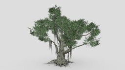 Chinese Banyan Tree-S2 tree, unreal, architectural, china, chinese, cheap, banyan, chinesebanyan