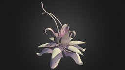 Cardusa plant, alien, game, creature, concept