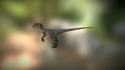 Velociraptor raptor, velociraptor, velociraptor-dinosaur-low-poly, raptor-dinosaur, dinosaur
