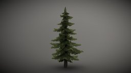 Spruce Tree | Mid Poly | With LODs tree, lod, mid, christmas, vegetation, midpoly, spruce, fir, lods, poly