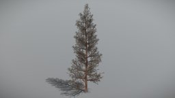Pine 5 (Animated Tree) trees, tree, plant, forest, plants, pine, vegetation, foliage, nature, woods, 3d, blender, blender3d, model, animated, environment, noai