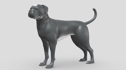 Boxer Dog V1 3D print model stl, dog, pet, animals, figurine, 3dprinting, doge, 3dprint, dogstl, stldog