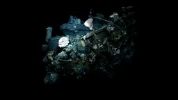 Low Poly Deep Sea Shipwreck #3 wheel, film, plants, organic, scanning, white, underwater, geology, shipwreck, deepsea, coral, cgi, deep, hydrant, nature, saltwater, erosion, atmosphere, vents, salt, houdini, hydrothermal, underwaterarchaeology, deepwater, deep-sea, ventspils, pools, realitycapture, texturing, photogrammetry, 3d, 3dsmax, blender, lowpoly, structure, 3dmodel, black, sea, brinepools, "hydrothermalvents", "whitesmoker", "3dmedling"