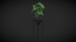 Cheese Plant III tree, plant, pot, tropical, unreal, indoor, exotic, potted, decorative, split, leaf, nature, plantpot, cheese, swiss, unrealengine, ue, houseplant, pottedplant, monstera, unity, 3dsmax, blender, decoration, ue5, philodendron, delicosa, split-leaf, cheese-plant