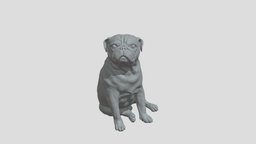 Rocky The Pug doggie, cute, dog, printing, first, sweet, present, rocky, pug, 3dprint, 3d, zbrush, 3dmodel, sculpture
