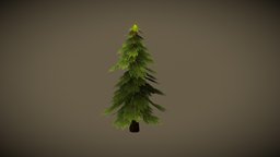 Tree Pine Stylize tree, pine, lowpolymodel, low-poly, lowpoly, wood