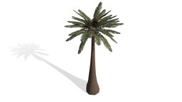 Palm Tree v2 (Low Poly) trees, tree, games, palm, carlos, rodriguez, nature, scenes, renders, vr-scenes, render