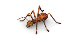 LowPoly Giant Crimson Ant insect, ant, bug, purple, legs, mob, giant, sting, eyes, nps, low-polygon, aggressive, tendrils, character, game, 3d, texture, low, model, monster, polygon, cuticle, chreature