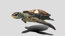 SeaTurtle turtle, underwater, reptil, creatures, ocean, realistic, water, animal, sea