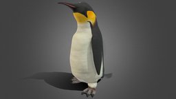 Penguin Rigged and animated penguin, animal, animation, rigged, noai