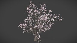 Japanese Cherry tree tree, grass, japan, cherry, medieval, sakura, props, nature, assset, game, free, fantasy, japanese, plany