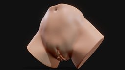 Realistic Anatomy of a Vagina for Study organ, anatomy, study, at, easel, print, realistic, woman, feel, printable, genitalia, genitals, vulva, vagina, anatomy-reference, clitoris, vulve, 3d, medical, of, gynecology, obstetrics, clitors, clitores