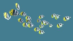 Schooling Double Saddle Fish school, fish, underwater, double, saddle, coral, butterfly, bay, coralreef, folk, schooling, animation, animated