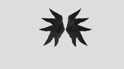 Feathered Wings bird, wings, angel, seraphim