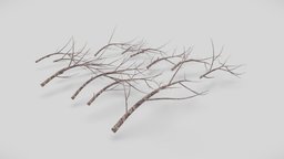 Twigs & Branches Pack tree, branches, dense, low-poly, witch, wood, spooky, horror, content-packs