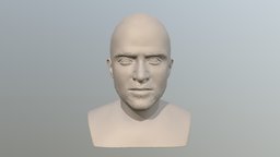 Jesse Pinkman bust for 3D printing film, tv, white, bad, walter, breaking, miniature, paul, movie, celebrity, actor, jesse, aaron, gus, saul, goodman, hollywood, fring, pinkman, heisenber, bust