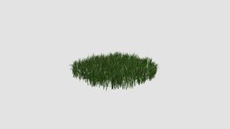 simple grass large plant, grass, key, 108, large, am124, simple