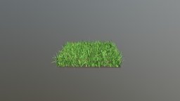Grass grass