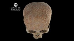 CCCM6 by Angélica Diosdado & Oswaldo Camarillo death, mexico, prehispanic, arqueologia, arqueology, anthropology, skull, archaeology-3dmodel-photogrammetry